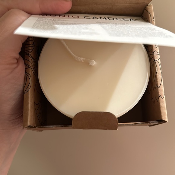 Ashberry and Bilberry leaves pressed pillar - Picture 7 of 7